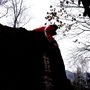 Pfadfinder Wiesele Part. 3 - 
Stamm Haslach - 
13.12.2009 - 
Rover
