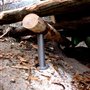 Pfadfinder Wiesele Part. 3 - 
Stamm Haslach - 
13.12.2009 - 
Rover
